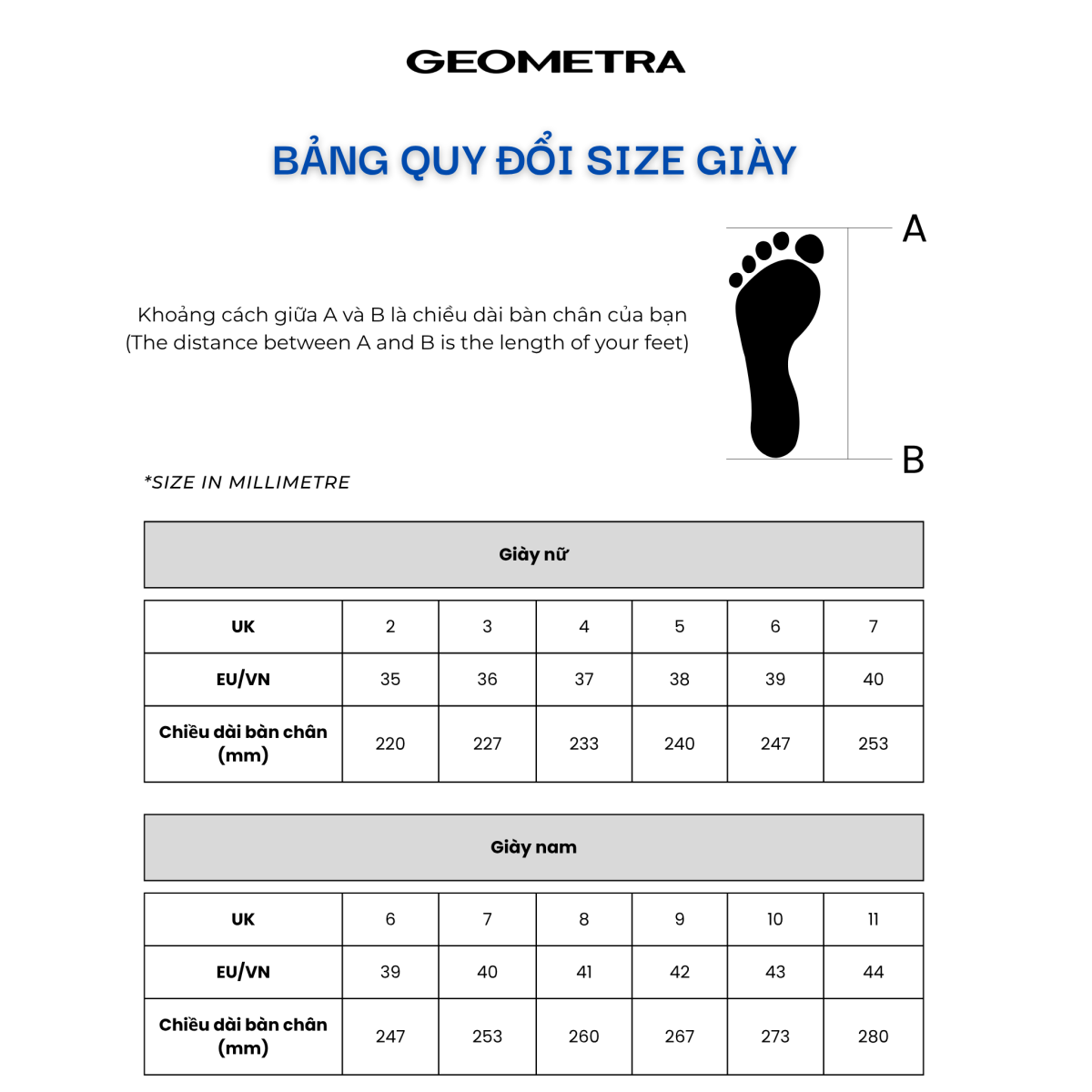 Hướng dẫn chọn giày